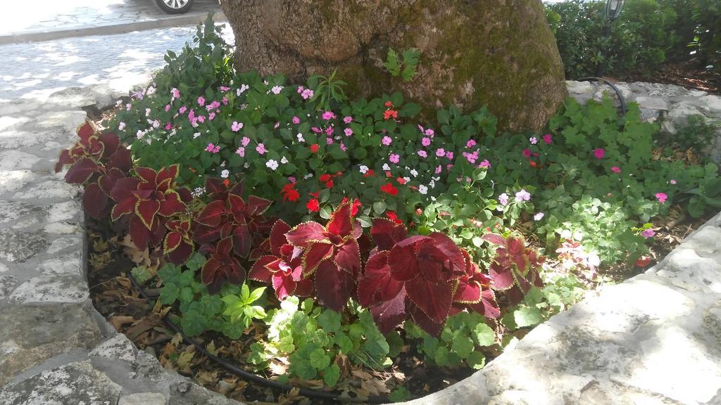 Chavkova House Melnik (Blagoevgrad) Bagian luar foto