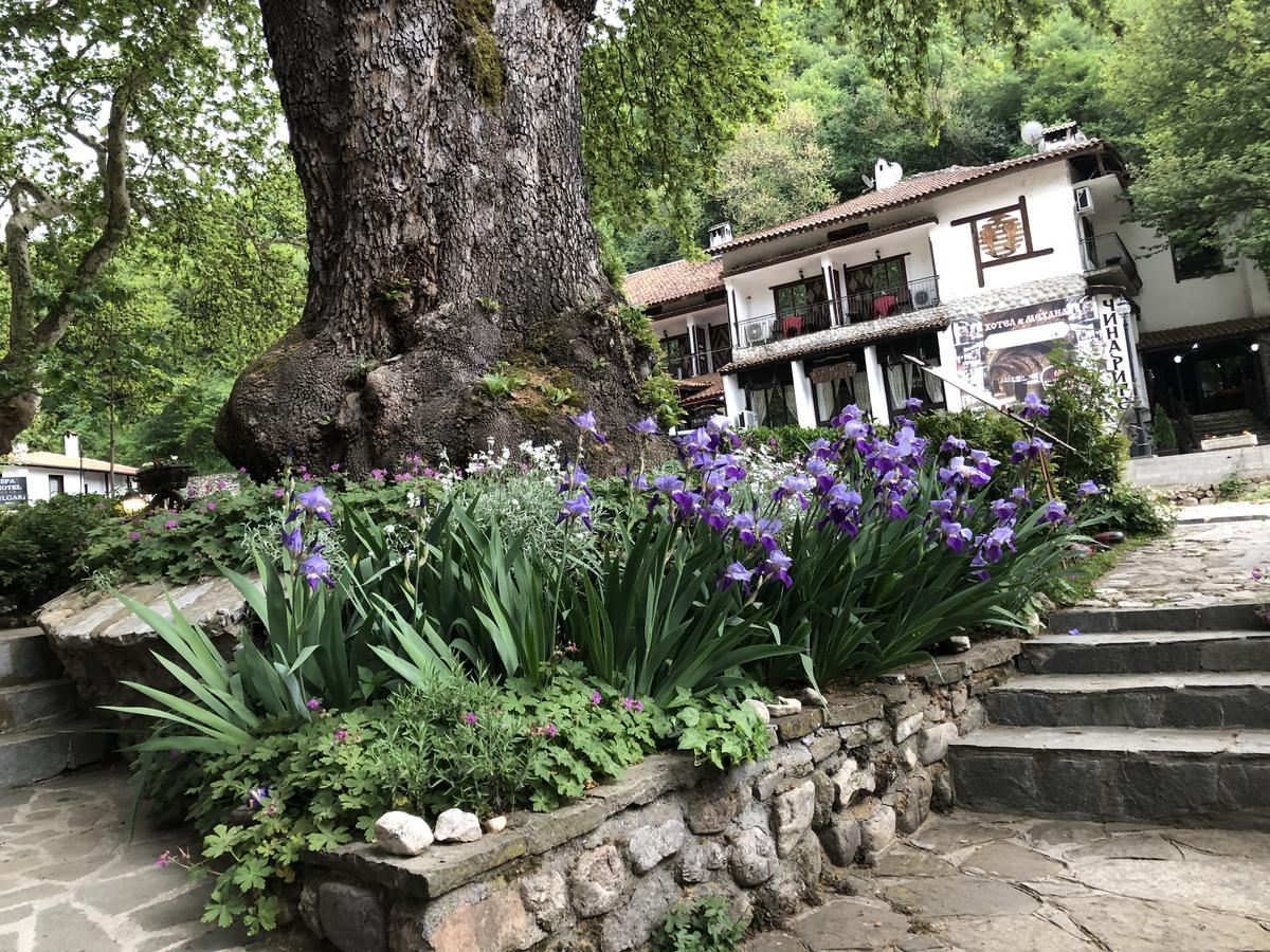 Chavkova House Melnik (Blagoevgrad) Bagian luar foto