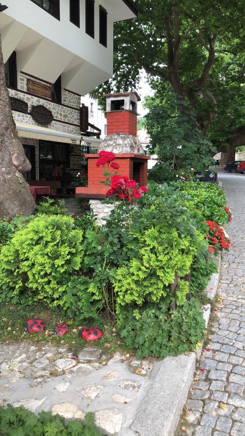 Chavkova House Melnik (Blagoevgrad) Bagian luar foto